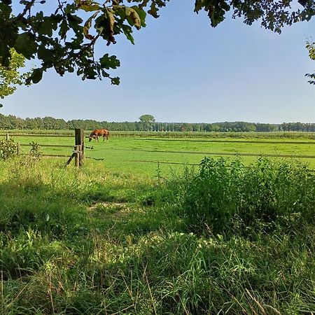 B&B Het Mooie Uitzicht Reuver Zewnętrze zdjęcie