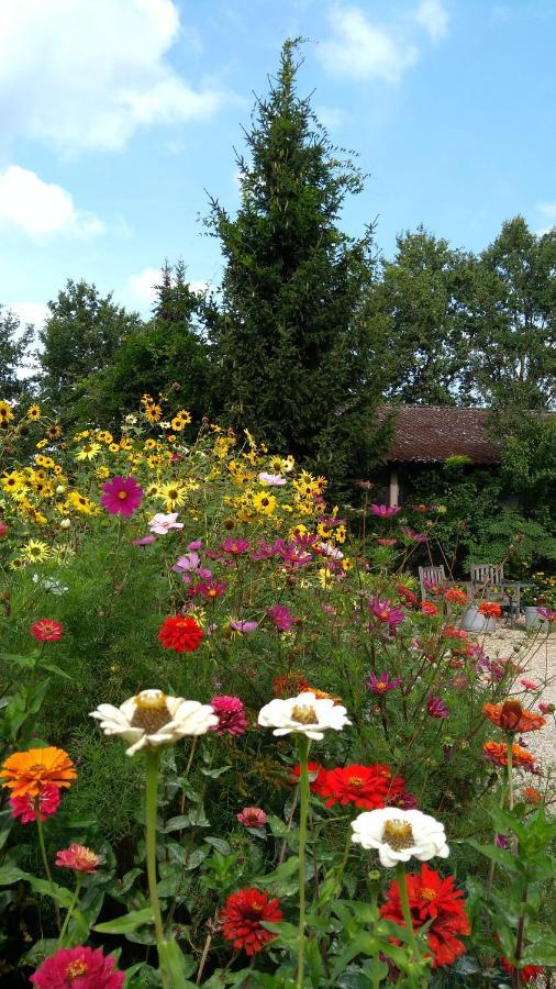 B&B Het Mooie Uitzicht Reuver Zewnętrze zdjęcie