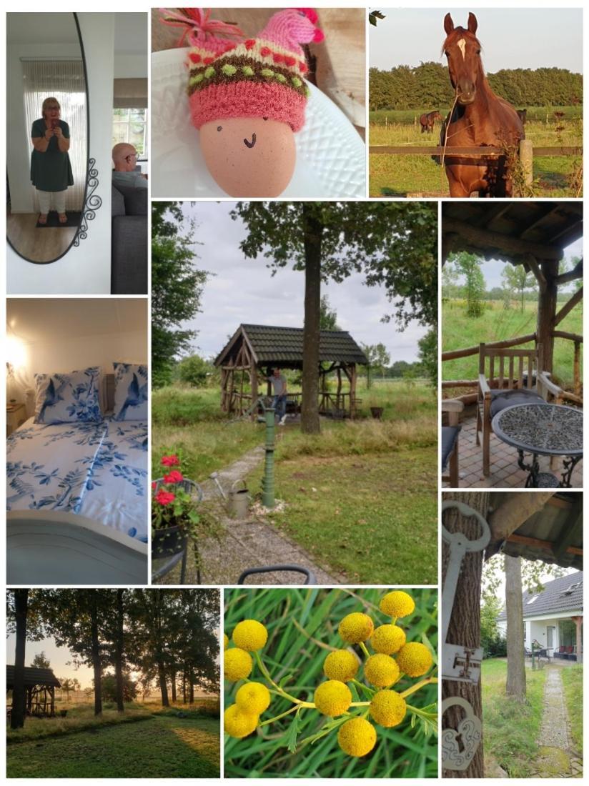 B&B Het Mooie Uitzicht Reuver Zewnętrze zdjęcie