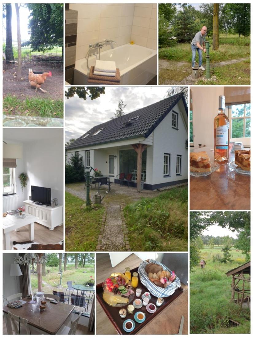 B&B Het Mooie Uitzicht Reuver Zewnętrze zdjęcie